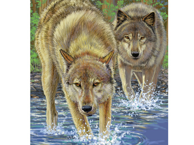 Wolves design illustration