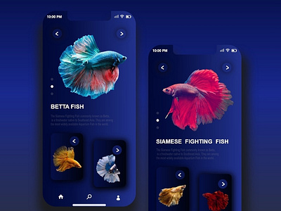 Fish Finder App app design ui ux