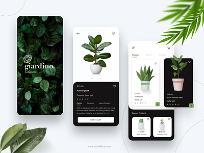 Giardino The Plant Shop App art branding cart clean color creative design exploration minimal mobile online shopping plant planting plantshop ui ux