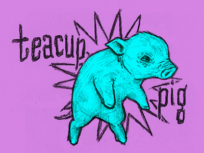 Teacup Pig duncan trussell tdtfh teacup pig the duncan trussell family hour
