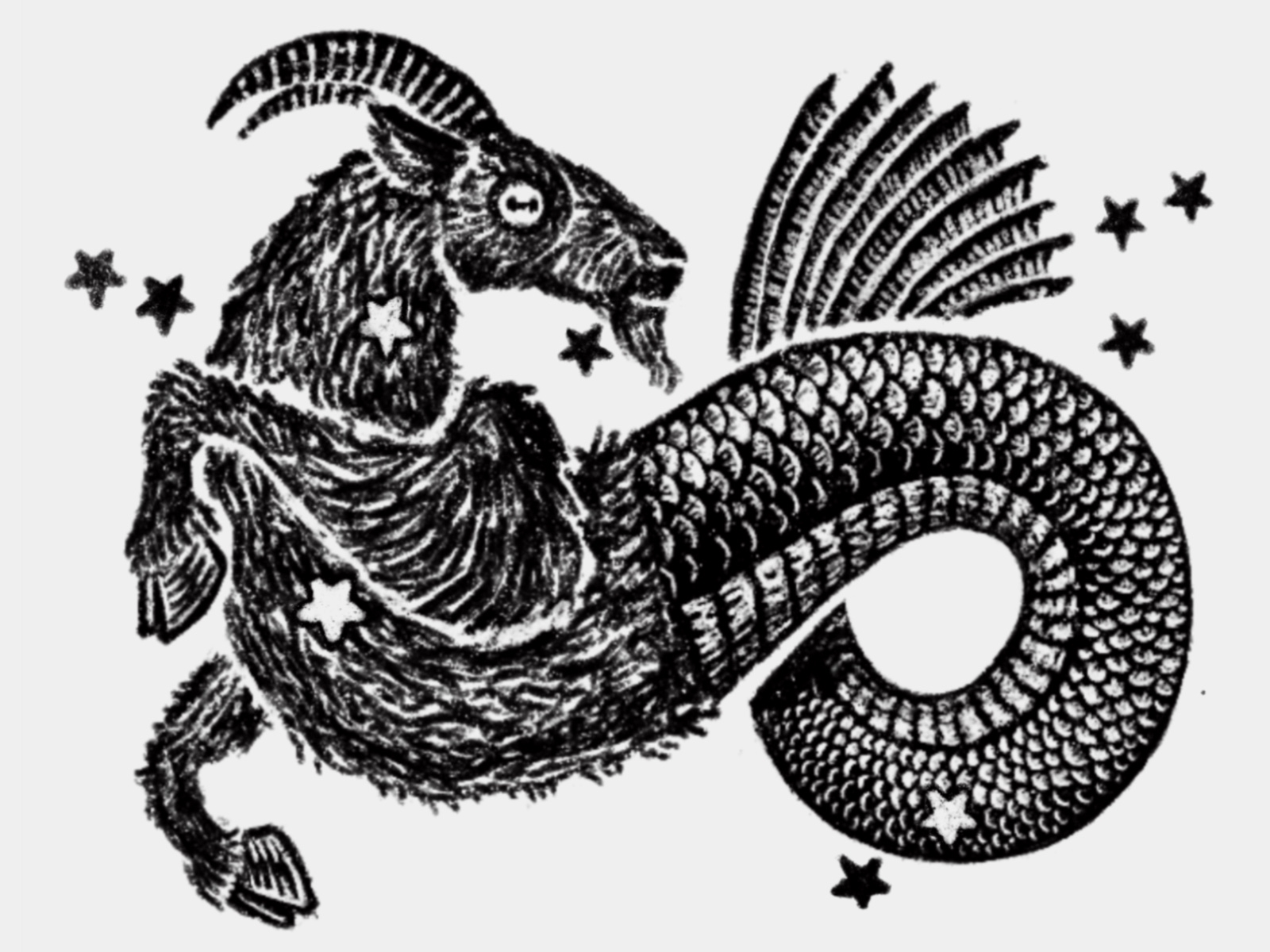 Capricorn astrology capricorn chimera constellation drawing dry brush fish fortune goat horoscope mermaid new age prediction procreate sign zodiac