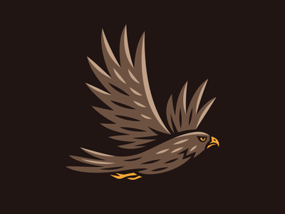 Hawk Logo animal bird buzzard cartoon design eagle emblem falcon flight hawk hunter logo mascot predator sport symbol tattoo team wild wings