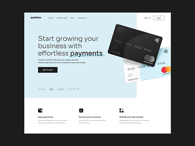 Paynow | Payment Landing branding card fintech fintech app hero landing landing design minimal payment payment app payment method paypal ui web