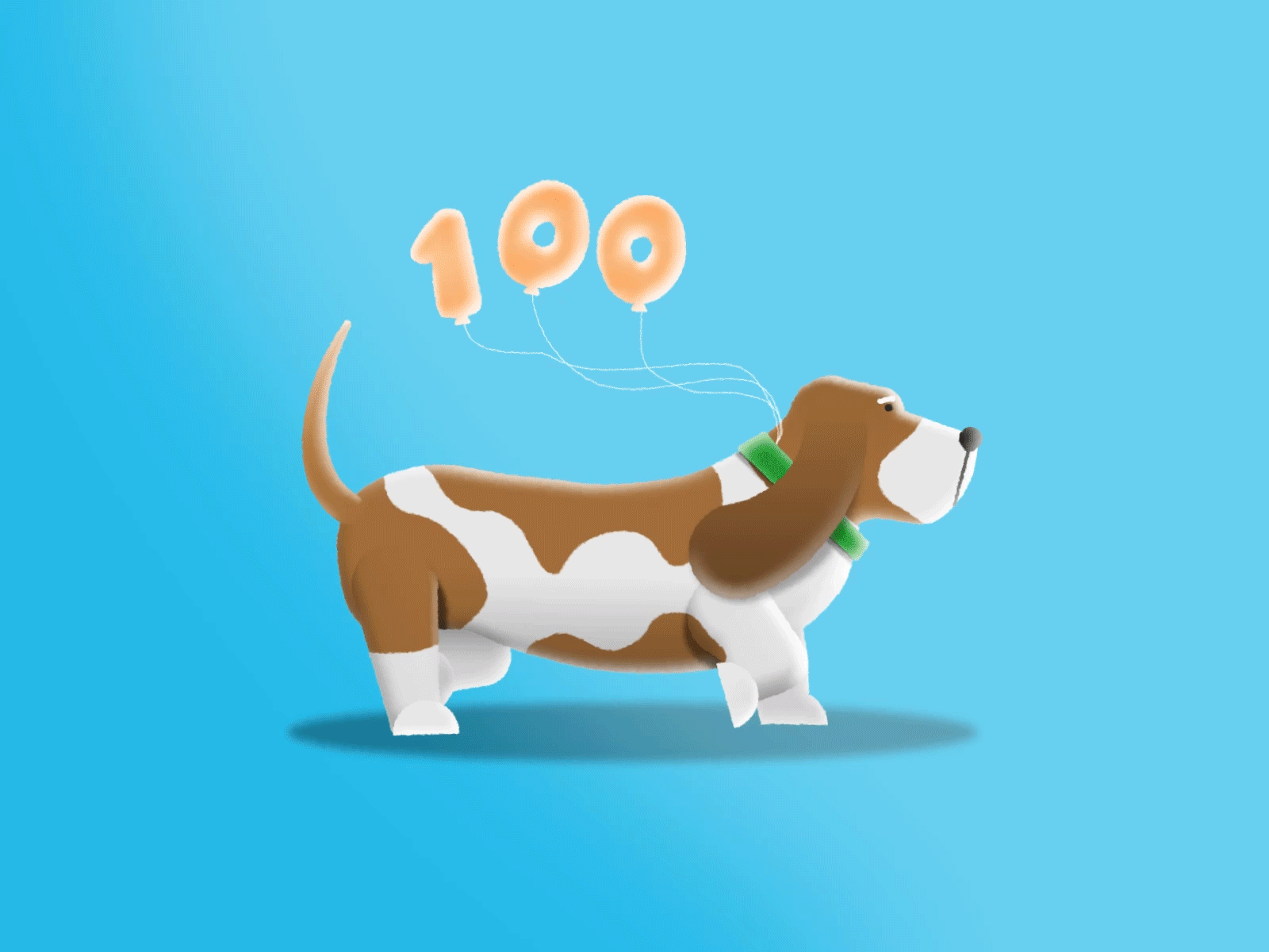Basset hound walk cycle achieved after effects animation basset basset dog basset hound basset hound walk basset walk cycle belgium celebration character animation dog dog walk cycle followers motion design walk cycle
