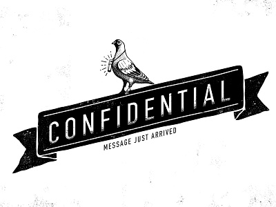 Confidential Message confidential hand message pigeon