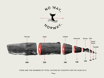 chitchart / Whale hunting chart hunting infographic norway tillnoon typo typography whale