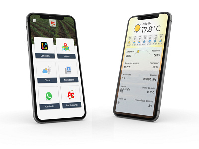 Abelardo Cuffia Mobile App design icon ui ux