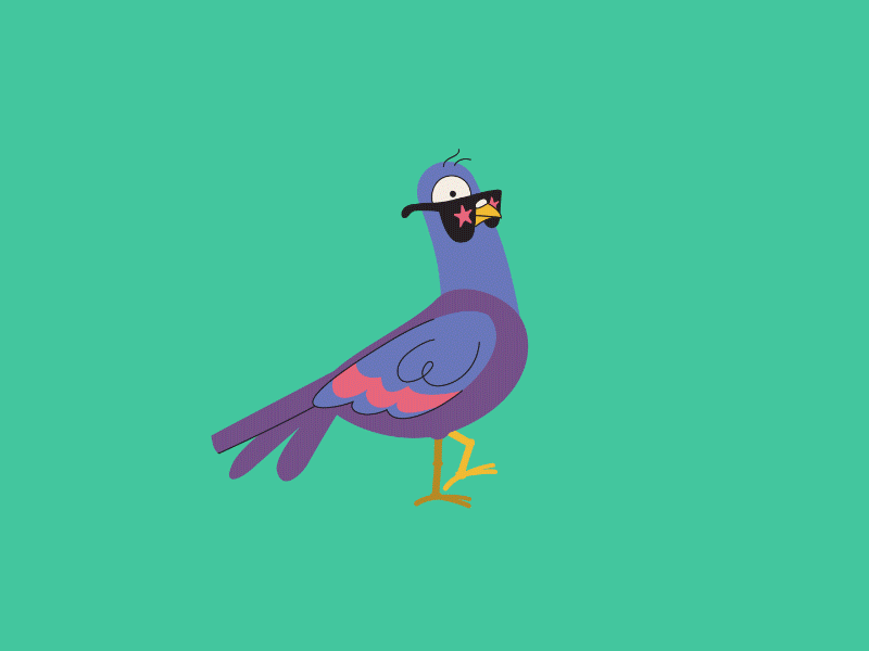Pigeon Walk 2d ae after effects animation character cycle design duik illustration motion graphics rubberhose vector walk
