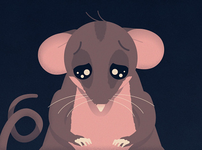 Pygmy Possum 2d animation character design illustration motion graphics
