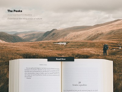 The Peaks book design ecommerce nature novel peaks