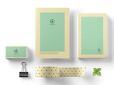 Camellia Tea | Branding tea