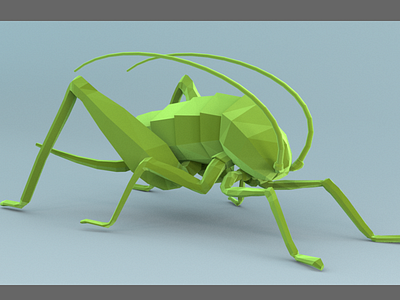 Low Poly Cricket