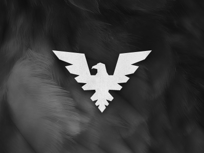 Hawk Logo V1 bird crest eagle feathers hawk identity logo wings