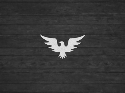 Hawk Logo V2 by Jord Riekwel on Dribbble