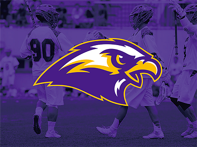 FALCONS Lacrosse Club Logo