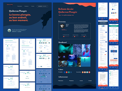 Quiberon Plongée branding colors design graphic design ui ui design ux website