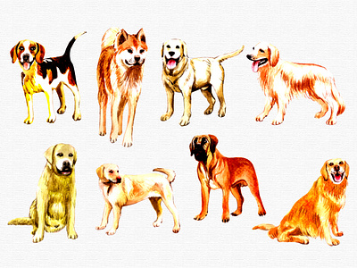 watercolor dog collection animals art black dog golden dog painting watercolor