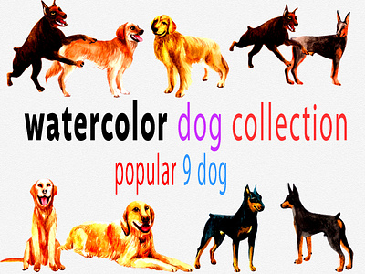 watercolor dog collection animals art dog golden dog illustration painting watercolor
