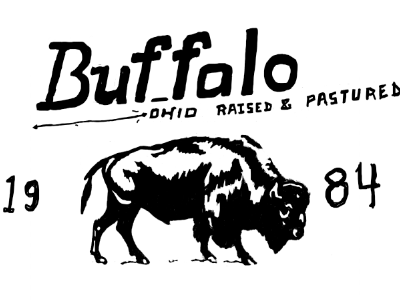 Buffalo by Casey Spitnale on Dribbble