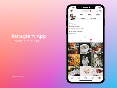 Instagram App Profile Mockup on iPhone X app design instagram iphone iphone x mobile ui ux video x