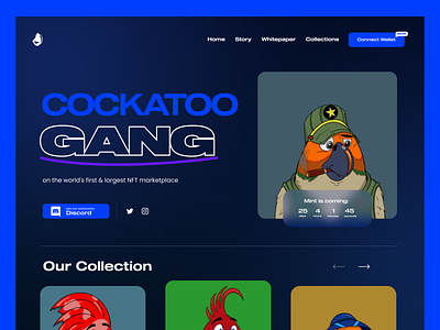 NFT Collection Website UI/UX collection launch pad nft ui ux website
