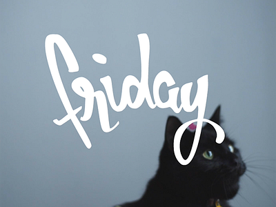 Friday Feels cats friday hand lettering lettering typography
