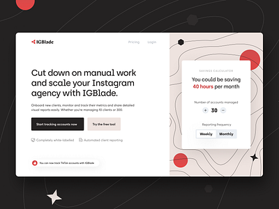 IGBlade- Social Media Analytics Tool Website Design