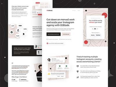 IGBlade Analytics SaaS Homepage Design