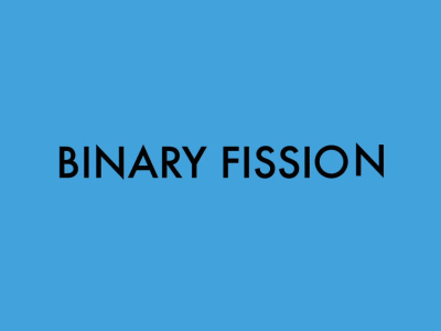 Binary Fission after effects animation gif simple typography