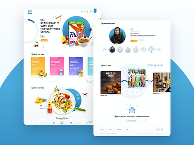 Nestlé Website Design