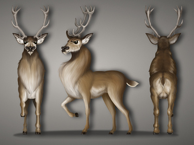 Deer - character design