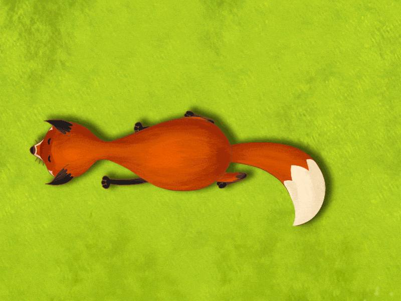 Cartoon fox top view gif