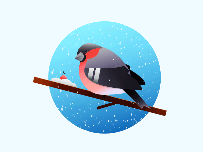 Bullfinch Illustration Animation after effects animation bird bullfinch cold flat illustration rowan snow vector winter