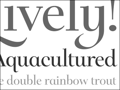 Double Rainbow Trout bluevinyl bvfonts darlena gray grey serif specimen type typedia typography