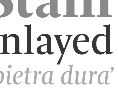 Stain Inlayed arnhem fredsmeijers gray grey ourtype serif specimen type typedia typeface