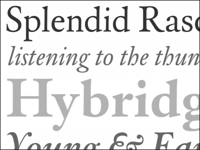 Splendid Rascal custodia gray grey ourtype serif specimen type typedia typography