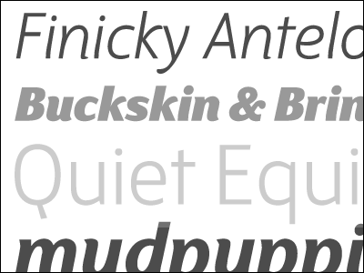 Finicky Antelope blake fontsmith gray grey sans specimen type typedia typography