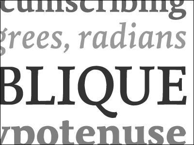 Oblique Hypotenuse gray grey ourtype serif specimen tiina type typedia typography