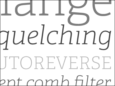 Squelching Autoreverse gray grey serif slab specimen type typedia typetogether typography