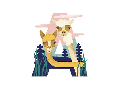 A is for Alpacas illustration typography
