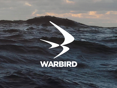 Warbird Logo branding design icon illustration logo vector