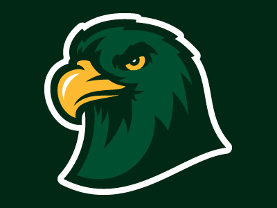 Hawk hawk hawks sports logo