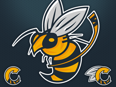 Cincinnati Stingers Logo