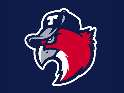 Hawks minor league baseball team logo