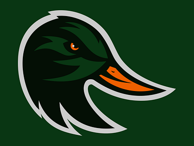 Ducks concept logo