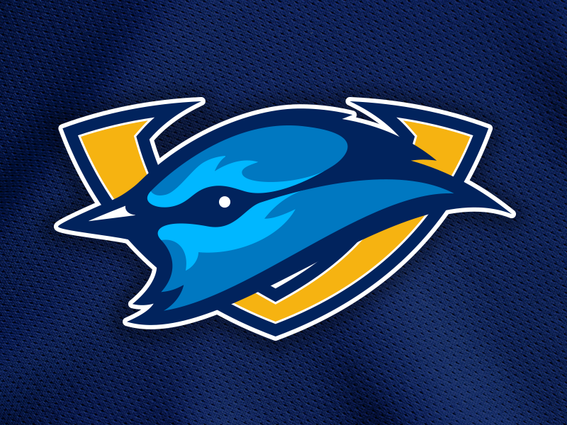 LV Mountain Bluebirds Logo by Johnny VonGriz on Dribbble