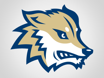 Wenatchee Wild 3 hockey logo