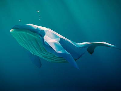 Low poly humpback whale 3d model animal blender 3d illustration low poly ocean sea animal whale