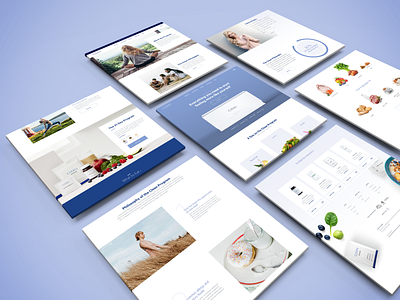 Clean Multiple screens design layout responsive ux web design web dev website