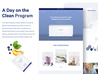 Clean Project design landing page mobile responsive web design web dev website